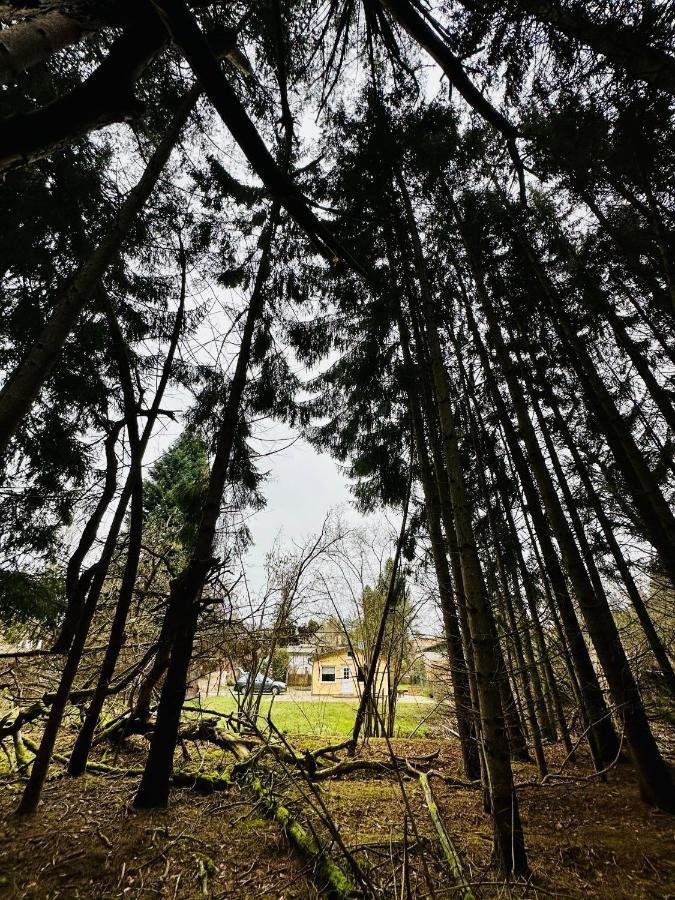 Ferienhaus Biber Godendorf  Εξωτερικό φωτογραφία